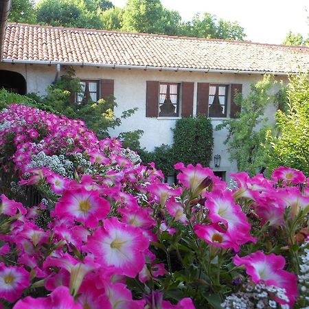 Agriturismo Cassinazza Orsenigo Exterior photo